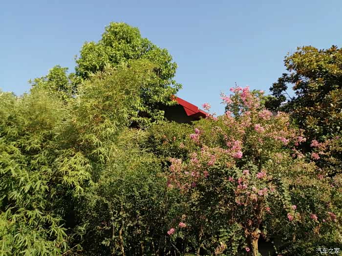 【图】骑着电动车周末采风南昌阳明公园_电瓶车论坛_汽车之家论坛