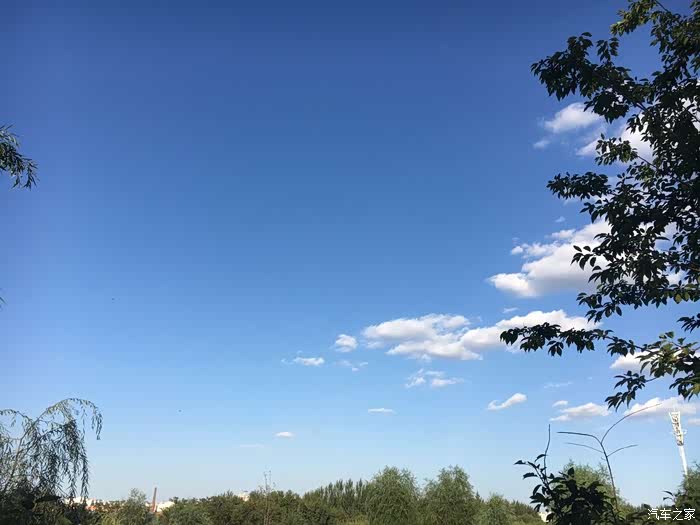 阳光明媚,怎能放过这样的好天气