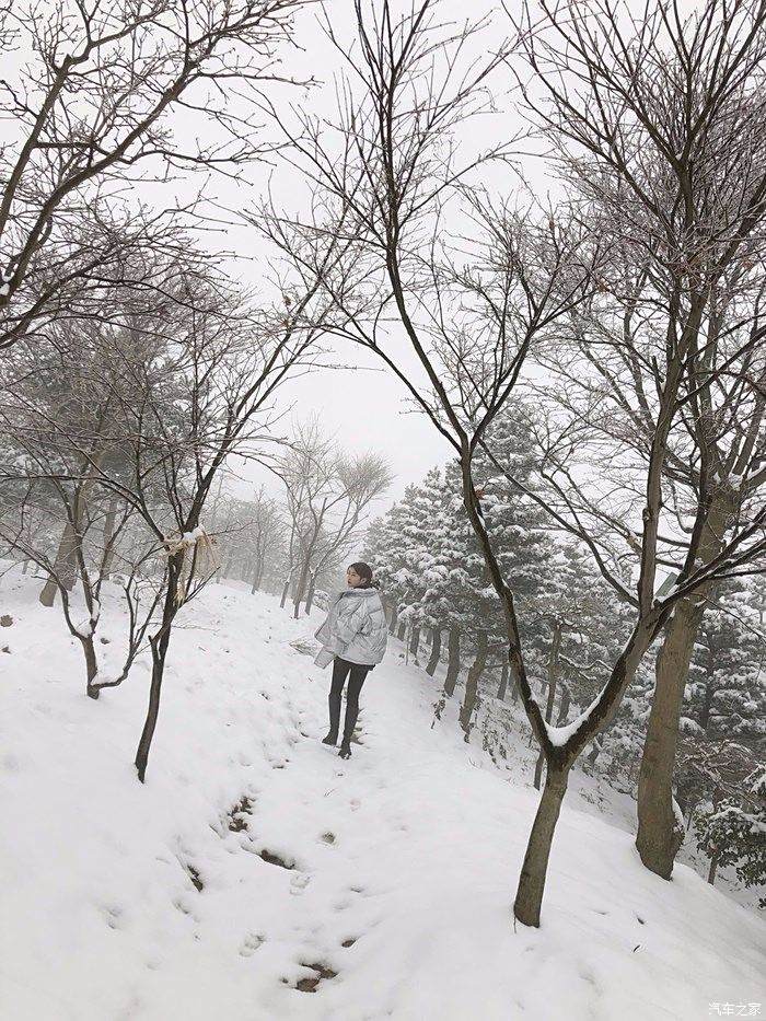 和朋友一起开车去看雪,难得的南方雪景,心里美滋滋