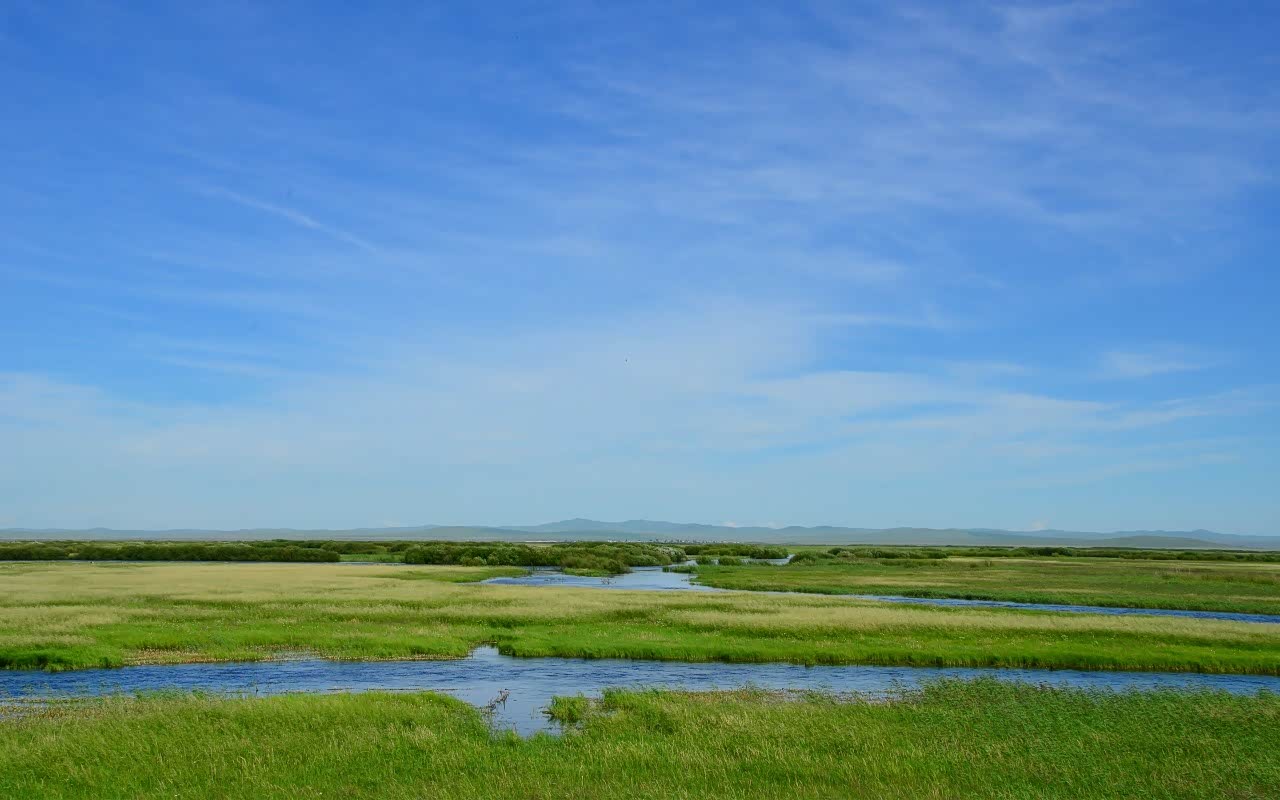 看见了广阔的草原心情都愉悦了起来