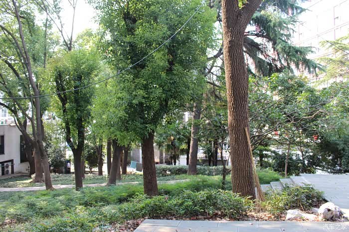 无锡长安suv联盟003赏靖海公园美景