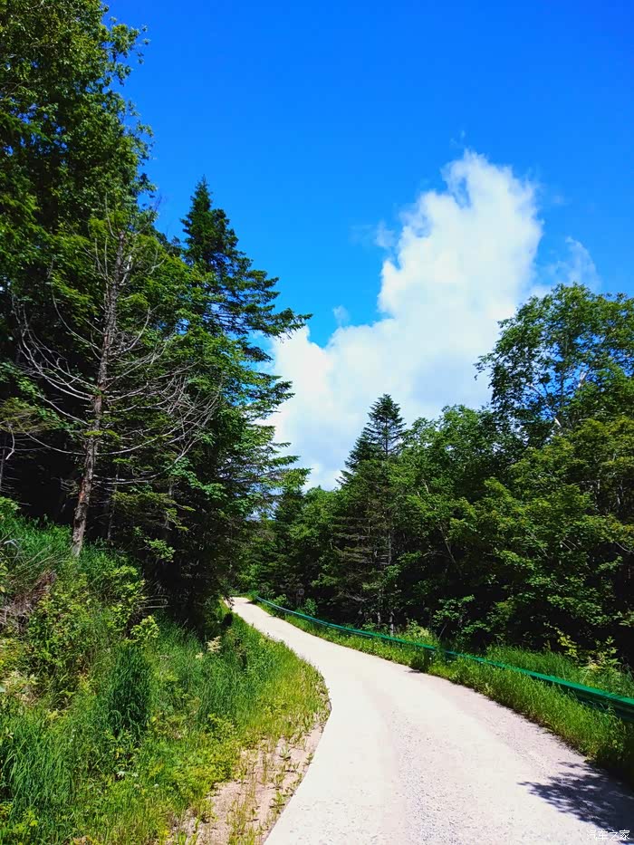 自驾带岭大箐山赏龙江高山原始森林美景
