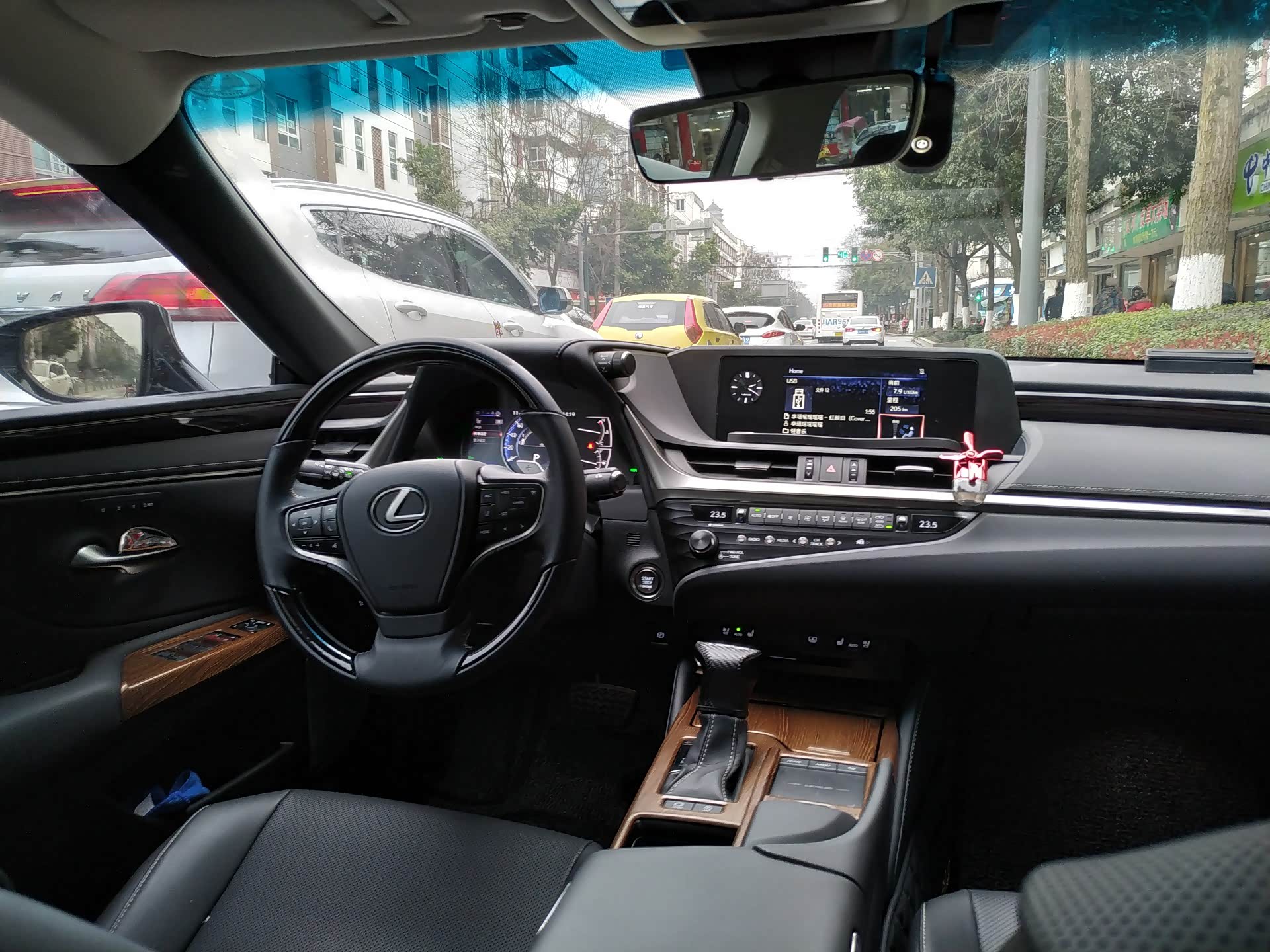 搭配竹内还是棕色臻木内饰?_雷克萨斯es论坛_汽车之家论坛