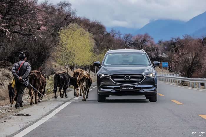 【图】cx-8新国风西藏林芝之旅_马自达cx-8论坛_汽车之家论坛