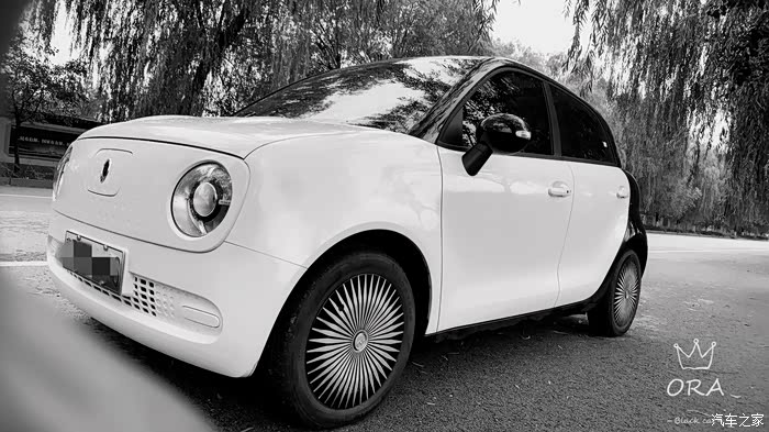 黑白欧拉方寸间黑猫品味丰富人生