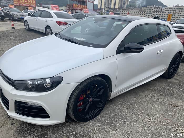 正血统蓝针大众尚酷r