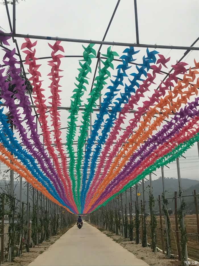 秋长花海影视基地游历