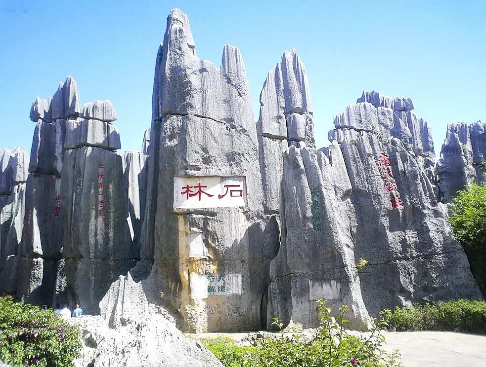 用相机记录下这美丽的时刻!