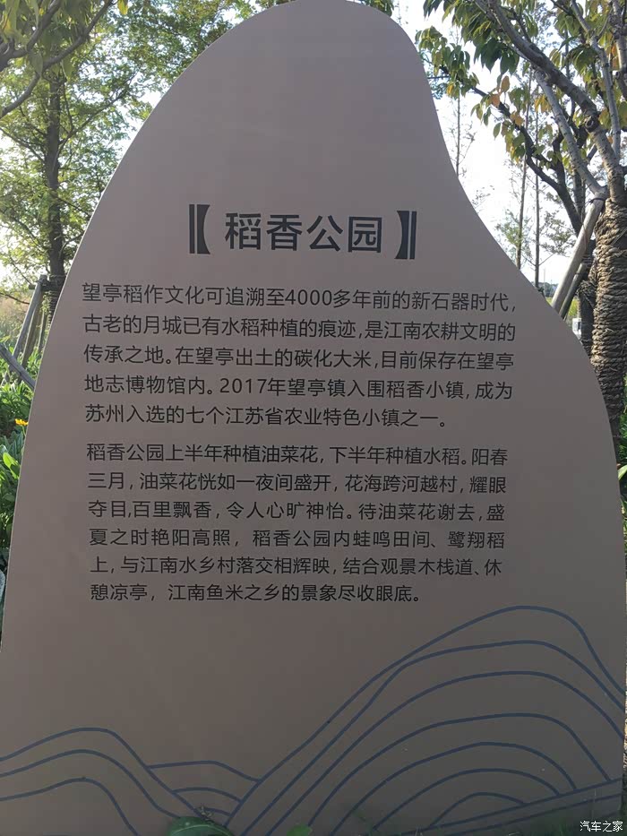 几何a与即将收割的水稻合影太阳膜