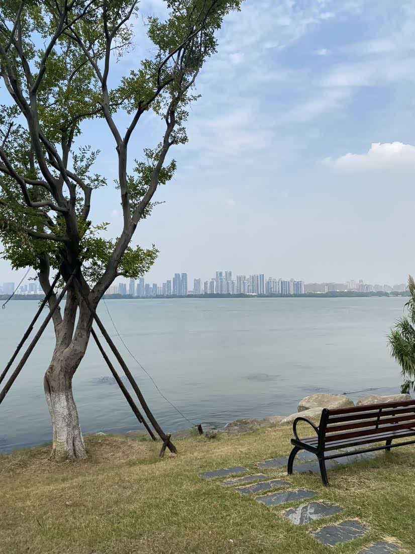 武汉网红地打卡,美丽的东湖绿道