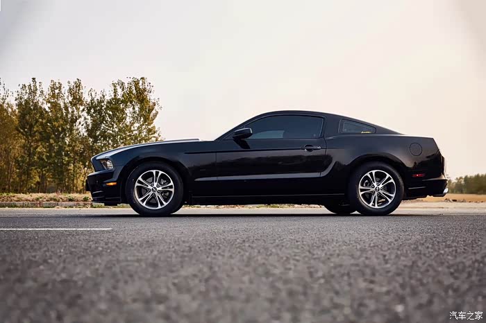 5代野马情怀无价不挡车牌了