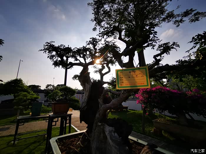 驾驶cs75游览岭南盆景博物园