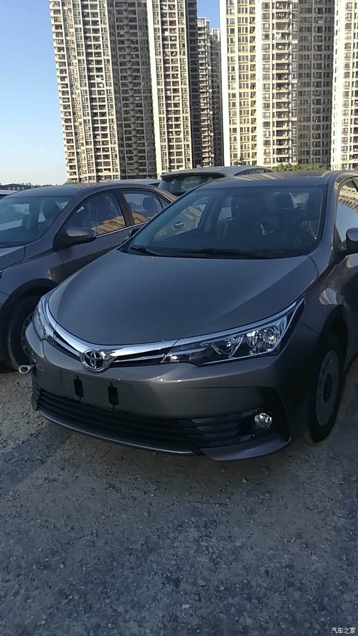 有多少人是卡罗拉青铜色