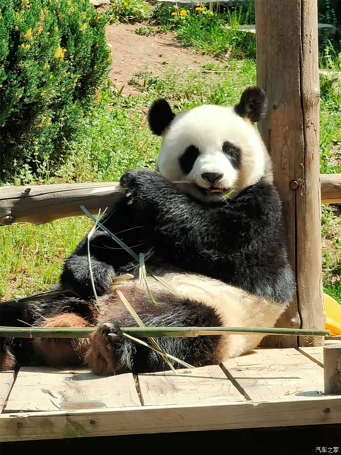游览大连森林动物园