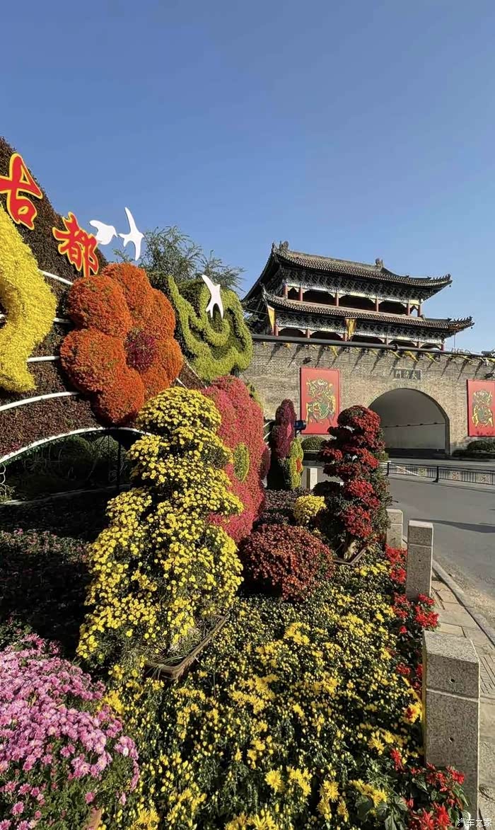 【图】领略开封中国菊花名城的风采._山东论坛_汽车之家论坛