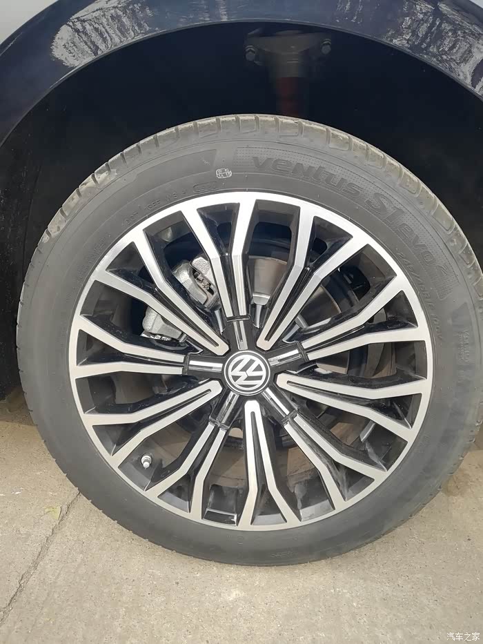 一见钟情的新伙伴-辉昂