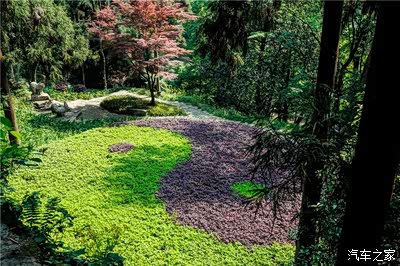 太极八卦形的绿化.