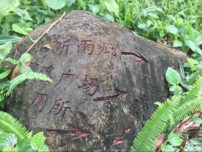 藏在草丛里的石头指示牌