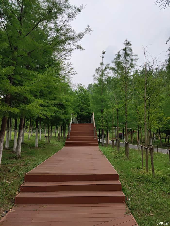 露营府河郊野公园