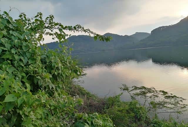 曾城联安水库山清水秀钓鱼泡水