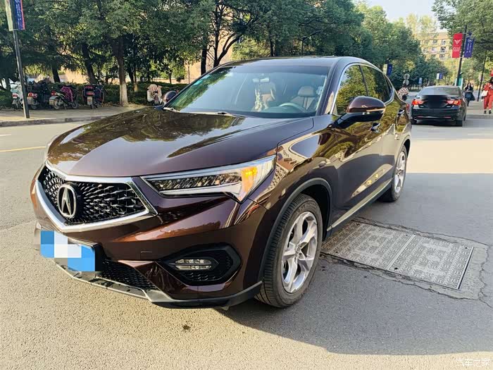 这就是我们家的新成员,炫棕色的cdx大胖子,样子太帅气了.