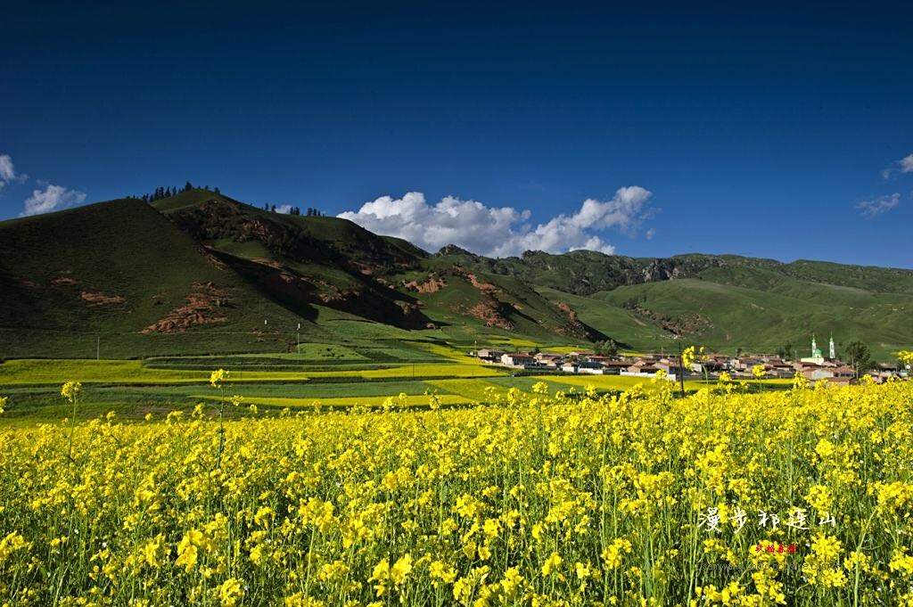 祁連山的大山深處有著獨特的美麗風景