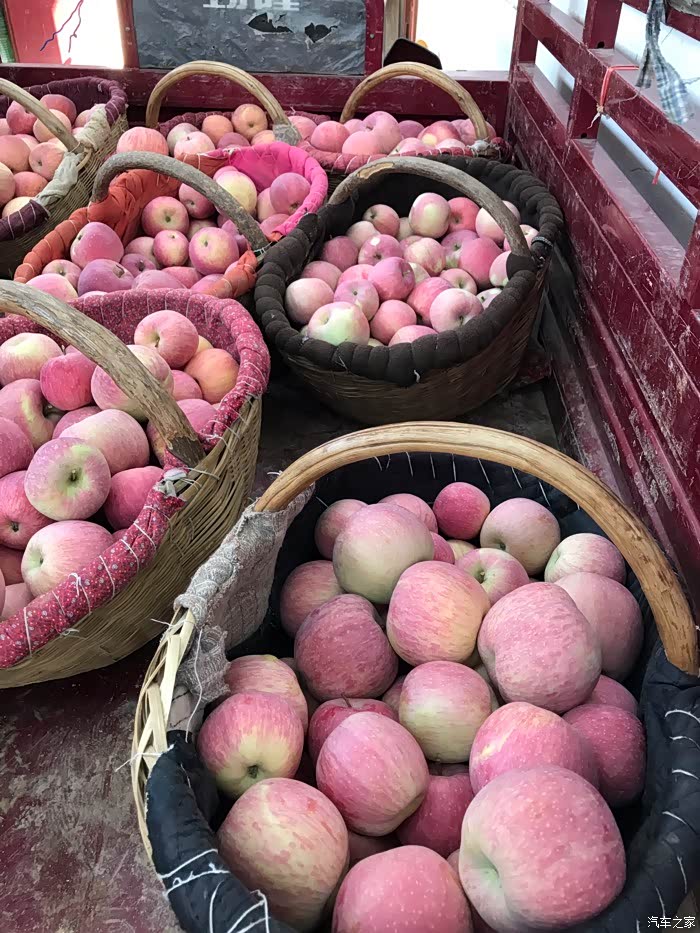 v93上牌贴膜路过铜川之苹果