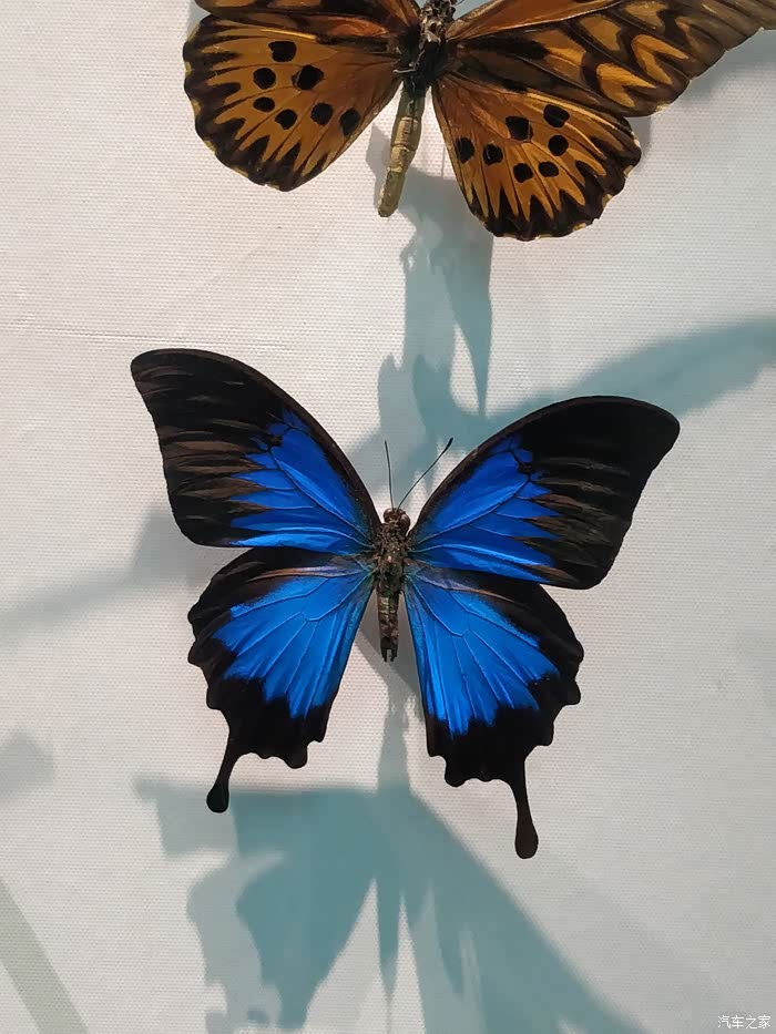 游览重庆自然博物馆