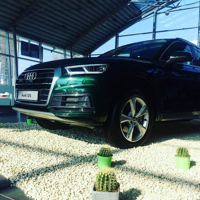 1440 | 回复: 5 奥迪q5/q5l论坛 请问有人提了可汗绿这颜色的车吗?