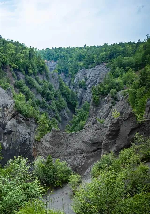 层林尽染,看着眼前一圈圈的树轮,仿佛步入谷间,便可以忘却世俗