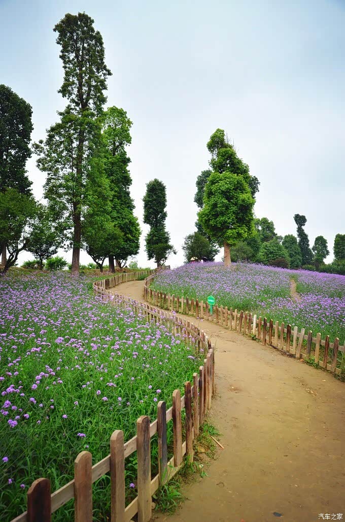 畅游秀丽东方生态文化景区