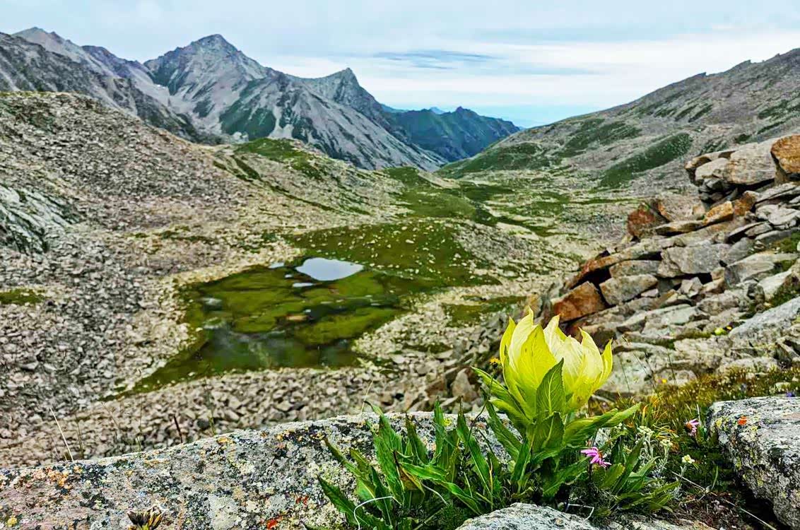 新疆特克斯县,琼库什台高山湖,天光云影共徘徊.