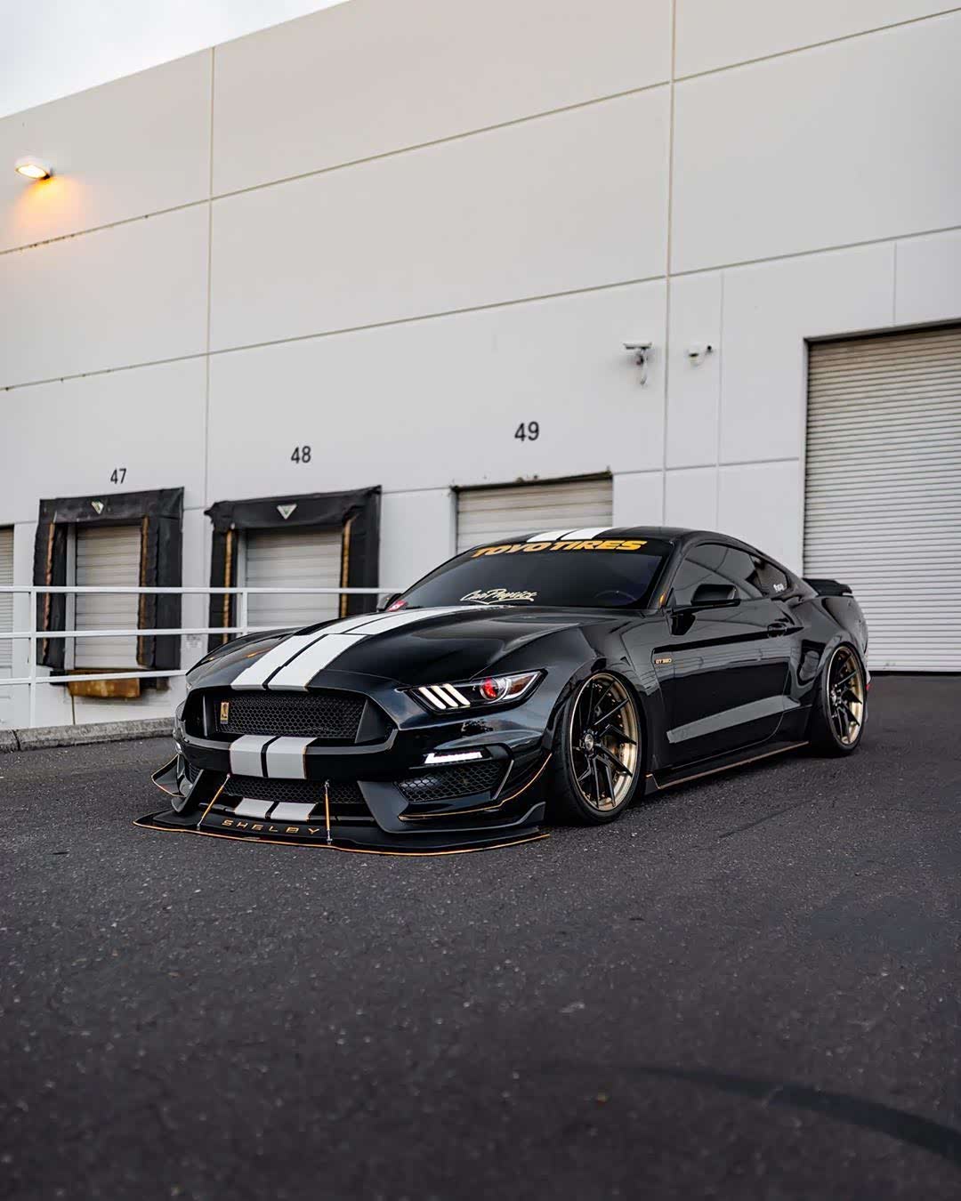 一匹帅气的野马gt350,黑色好酷