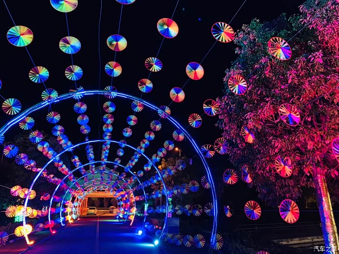 驾好猫夜游园乐生活