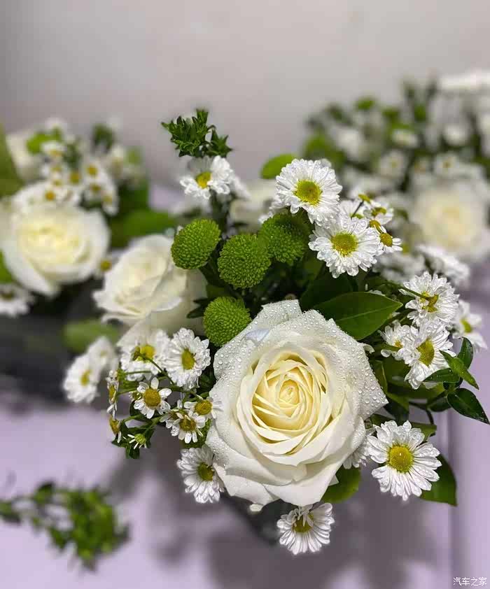 白玫瑰与小雏菊更搭哦