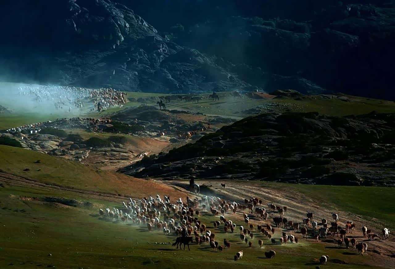 人间仙境伊犁的部落迁徙,壮观!唯美