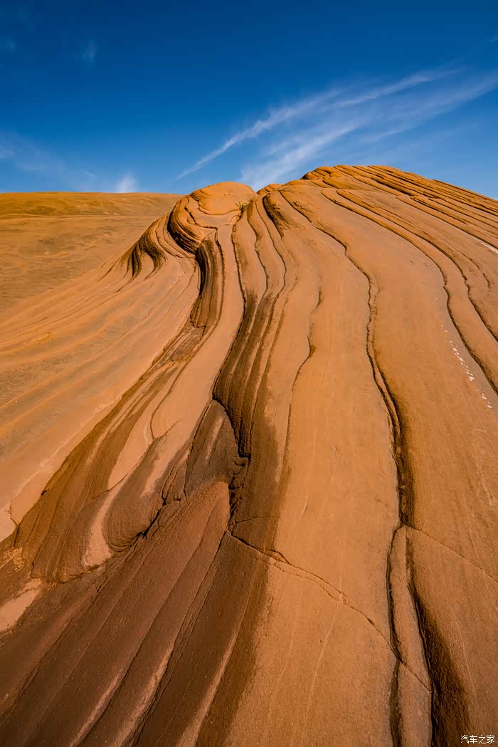 原创首发时光的纹路点缀在黄土高原上不一样的色彩