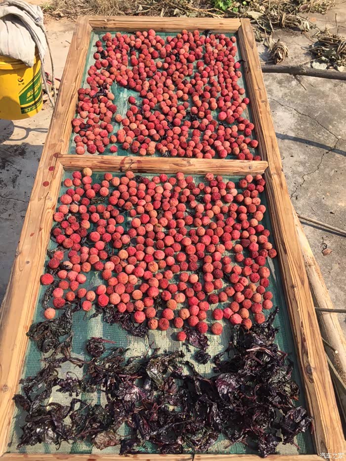 这里还晒了杨梅干