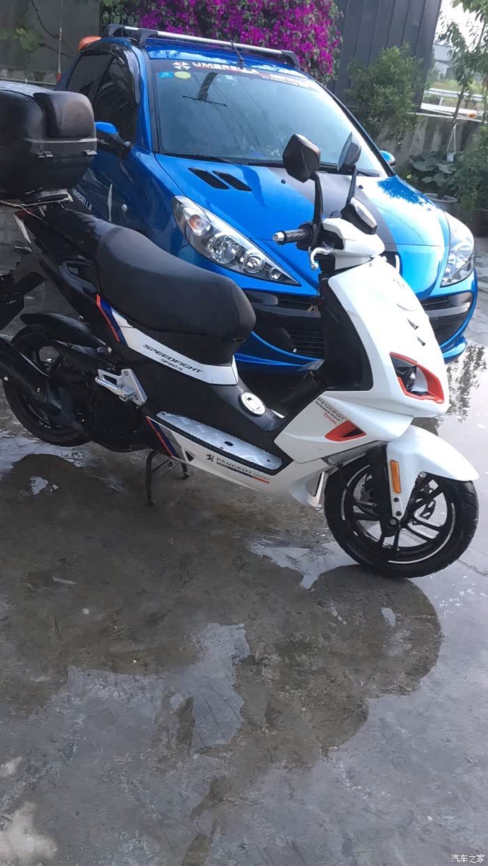 已订标致sf4 150,坐等提车