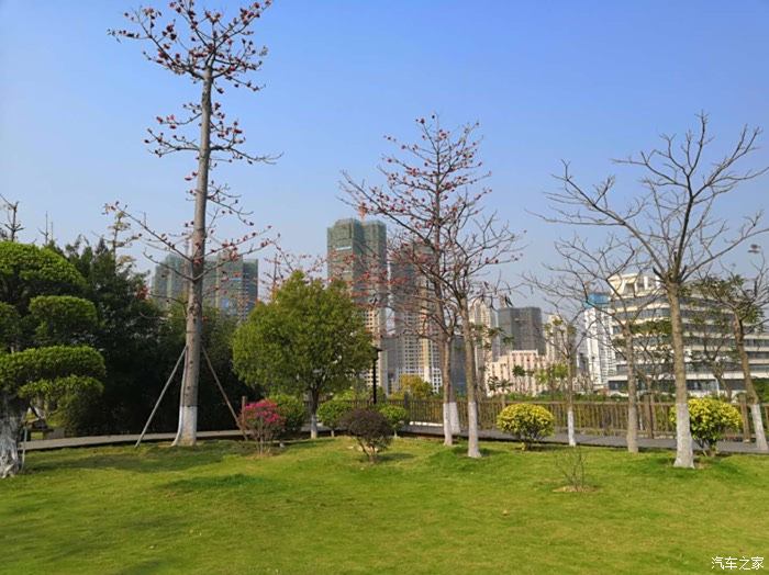 晋江市世纪公园图片