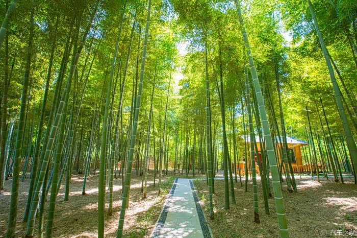 寻找别样的悠然生活,红沙湾-生态园-雪浪山