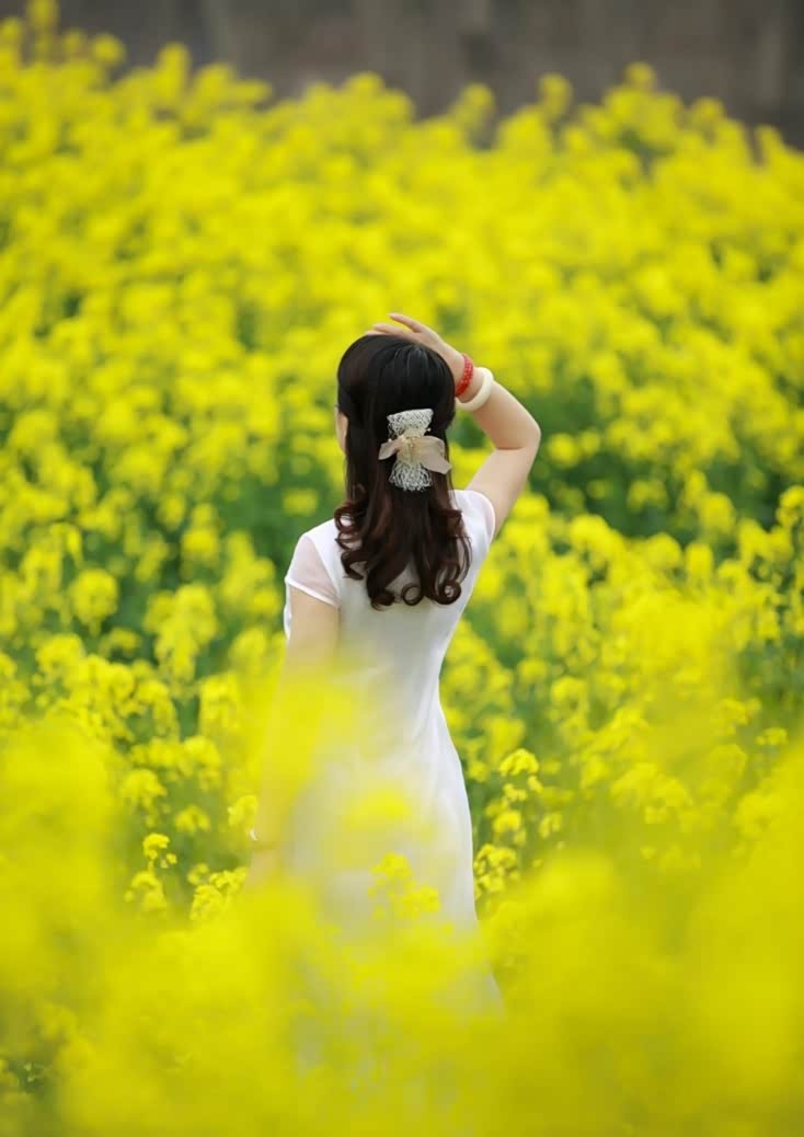穿着旗袍去看油菜花,我与大秦人和小秦人的甜蜜约会!