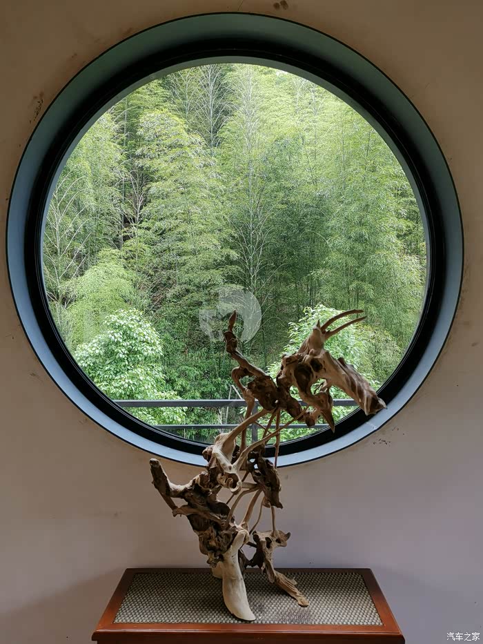 孑然一身清风拂面修行禅院