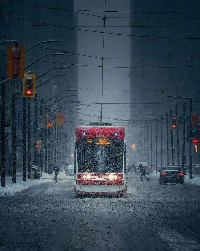 多伦多的下雪天美丽壮观