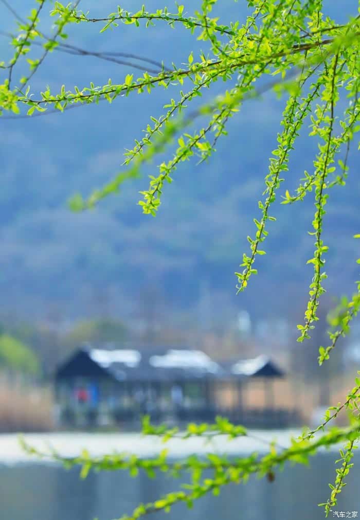 春水碧于天,画船听雨眠.