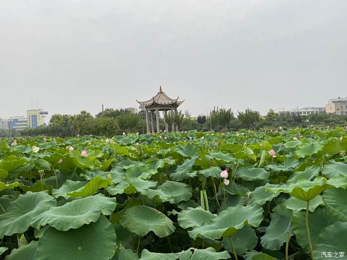 永济市滨河公园