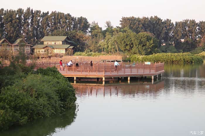 爱车作业大征集基塘田园新型农业生产模式