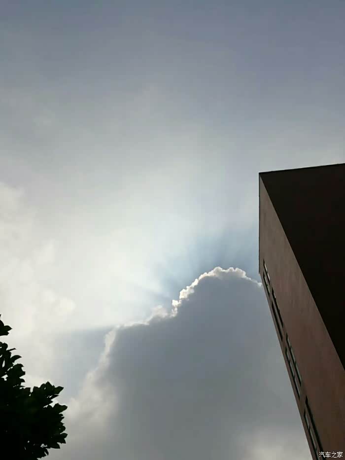 最近天气有点反常忽冷忽热