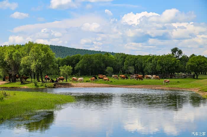 2019年7月蒙古国自驾越野草原行