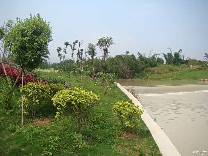 厦门市同安区禹州湿地公园寻访"春姑娘"